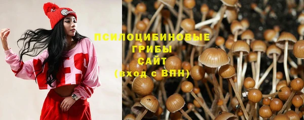 а пвп мука Алзамай