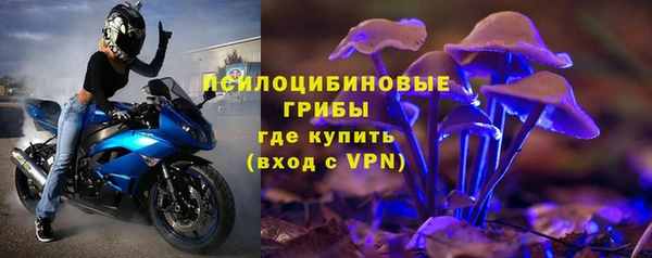 а пвп мука Алзамай