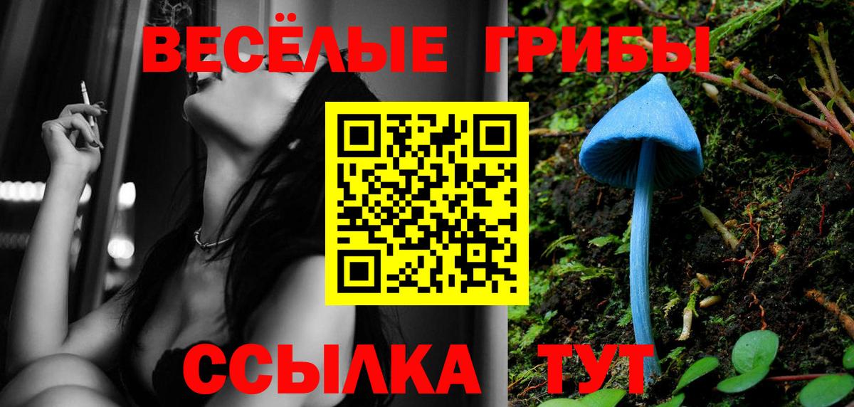 Псилоцибиновые грибы Psilocybine cubensis Амурск