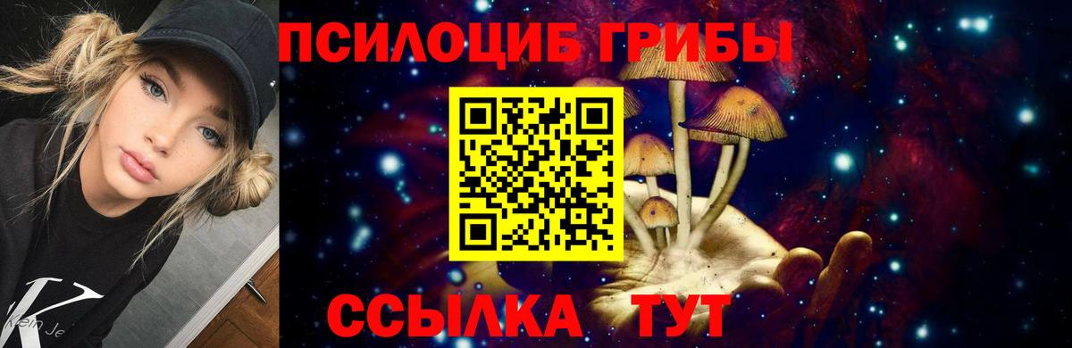 Галлюциногенные грибы Psilocybe Амурск