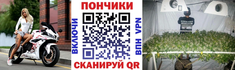 Канабис ГИДРОПОН  Амурск 